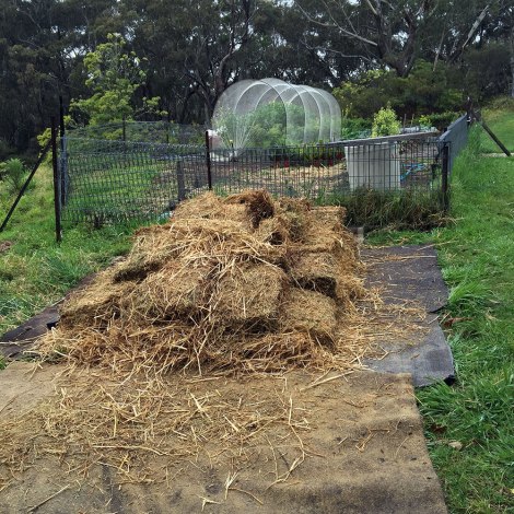 seedsavers_newgardenplot