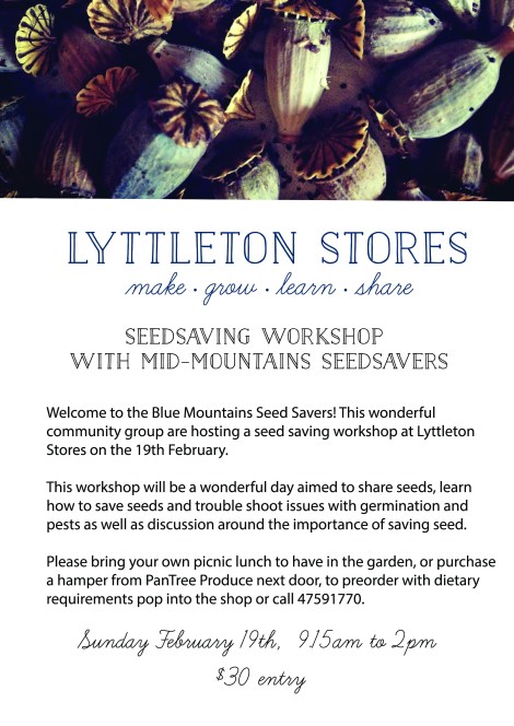 lyttleton_garden_seedsaving
